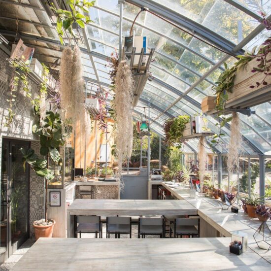 import blog slider le serre dei giardini margherita diventano il nuov 13