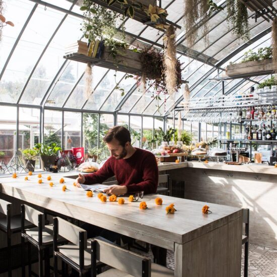 import blog slider le serre dei giardini margherita diventano il nuov 15