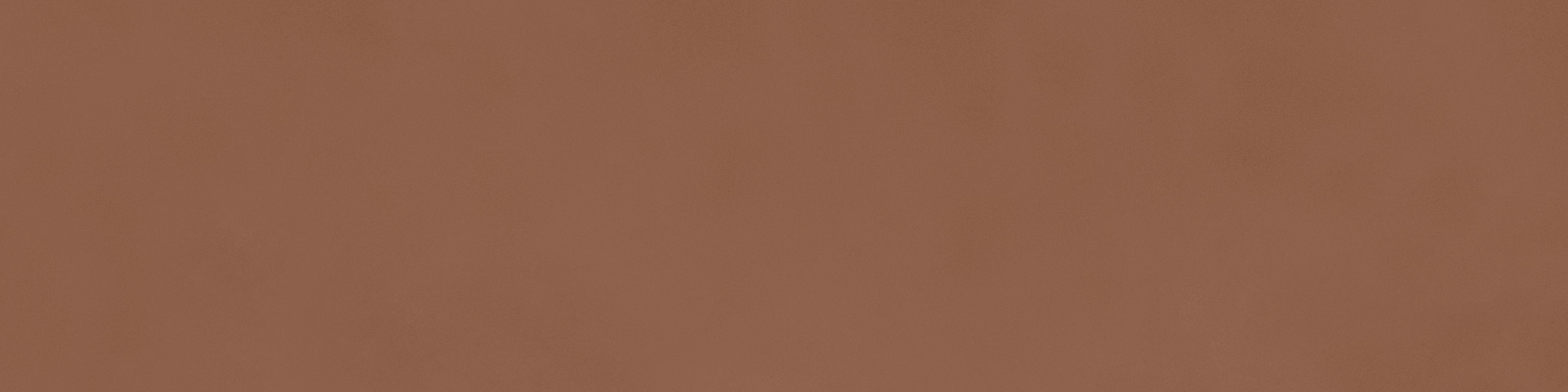 marazzi poster mcts.jpg